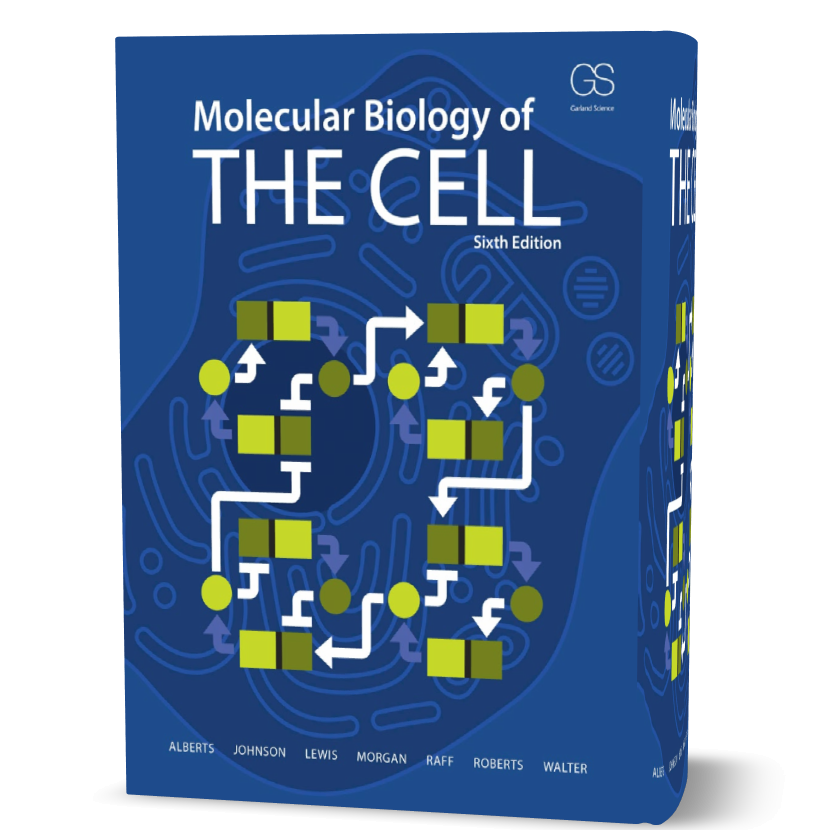 Molecular Biology Of The Cell 6Th QAQCEX