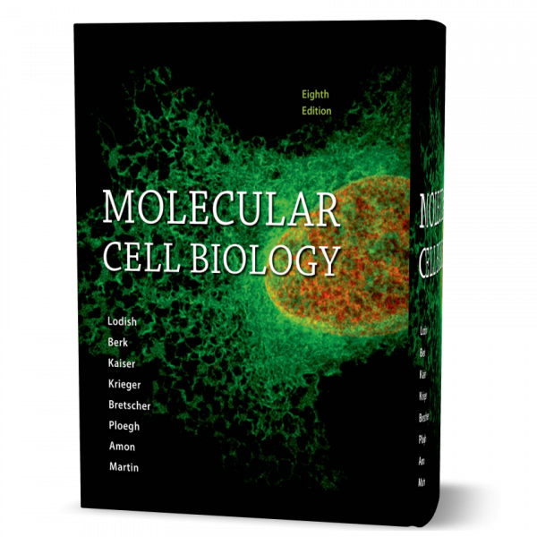 Molecular Cell Biology 8th Edition By Lodish Download Free Pdf