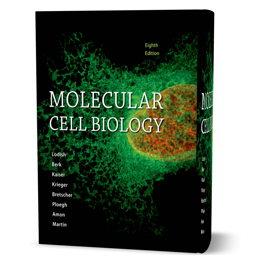 Molecular Cell Biology 8th edition by Lodish download free pdf